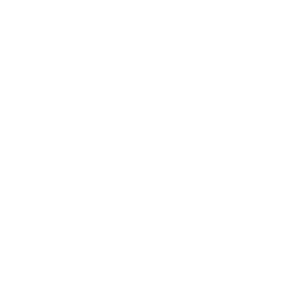 Nicolas Giuristante logo